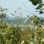 Ferienbauernhof Liesenberg Jagdreihenhaus Rehkitz * Fehmarn