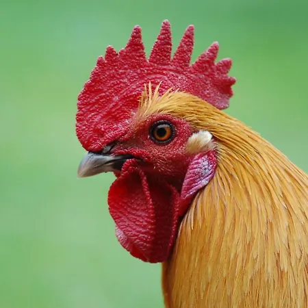 Ferienbauernhof Liesenberg Jagdreihenhaus Rehkitz