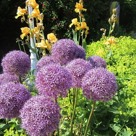 Prázdninový dům Ferienbauernhof Liesenberg Jagdreihenhaus Rehkitz Fehmarn