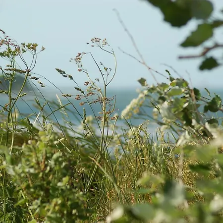 Ferienbauernhof Liesenberg Jagdreihenhaus Rehkitz * Fehmarn