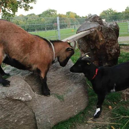 Ferienbauernhof Liesenberg Jagdreihenhaus Rehkitz Prázdninový dům Fehmarn