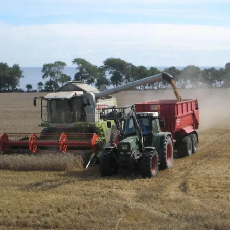 Ferienbauernhof Liesenberg Jagdreihenhaus Rehkitz *