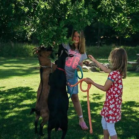 Ferienbauernhof Liesenberg Jagdreihenhaus Rehkitz Prázdninový dům