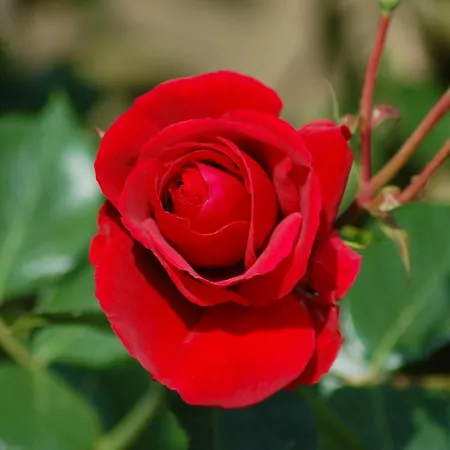 Ferienbauernhof Liesenberg Jagdreihenhaus Rehkitz Prázdninový dům