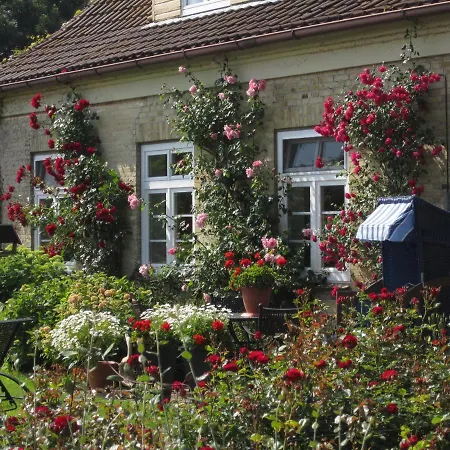 Ferienbauernhof Liesenberg Jagdreihenhaus Rehkitz Holiday home *