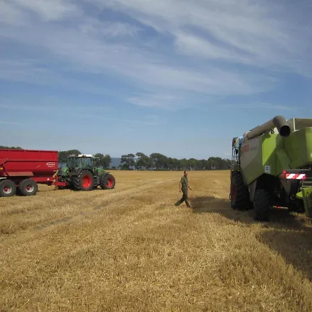 Ferienbauernhof Liesenberg Jagdreihenhaus Rehkitz Prázdninový dům