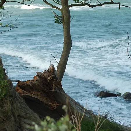 Prázdninový dům Ferienbauernhof Liesenberg Jagdreihenhaus Rehkitz Fehmarn